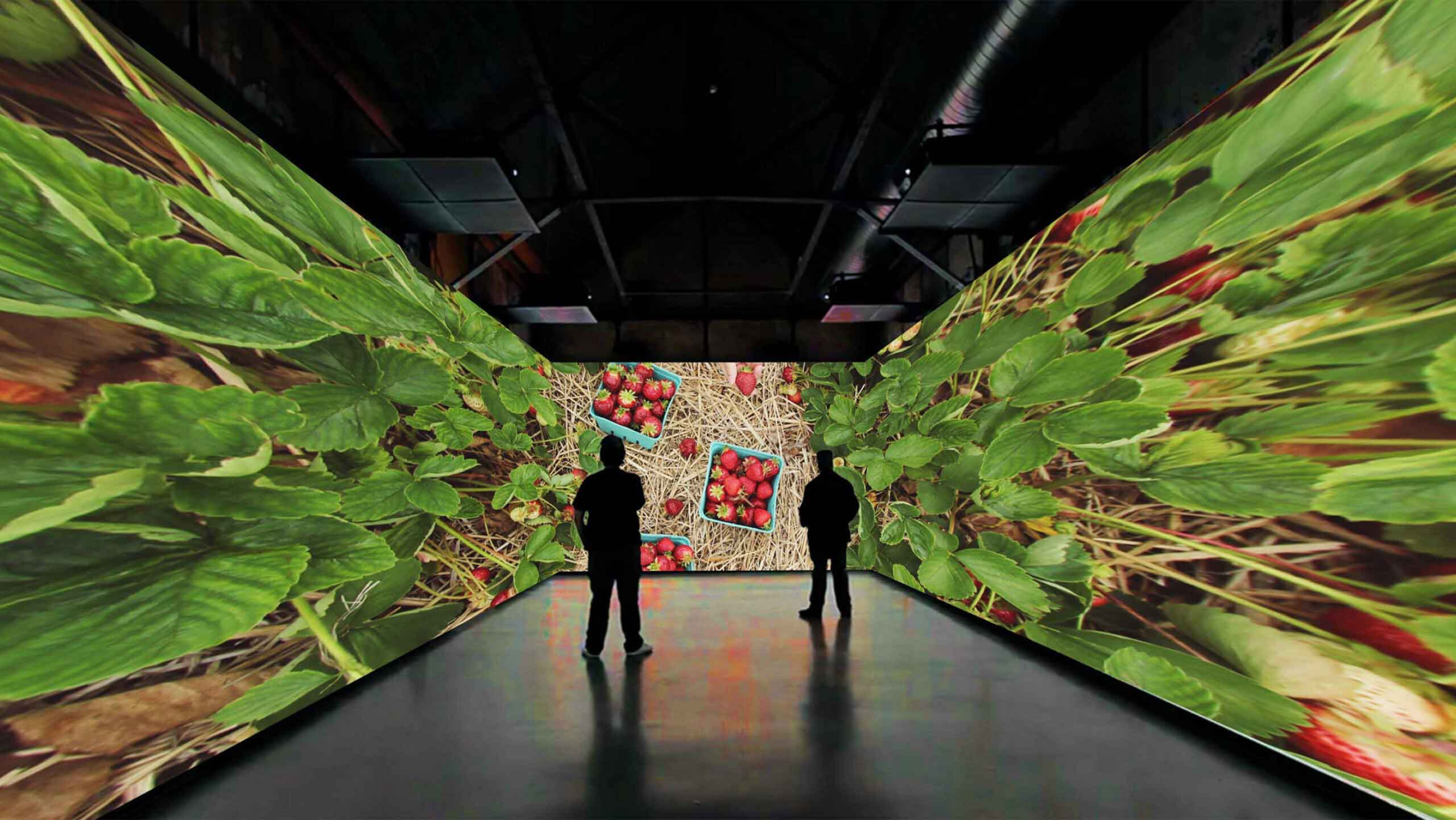 Co-op immersive screen environment