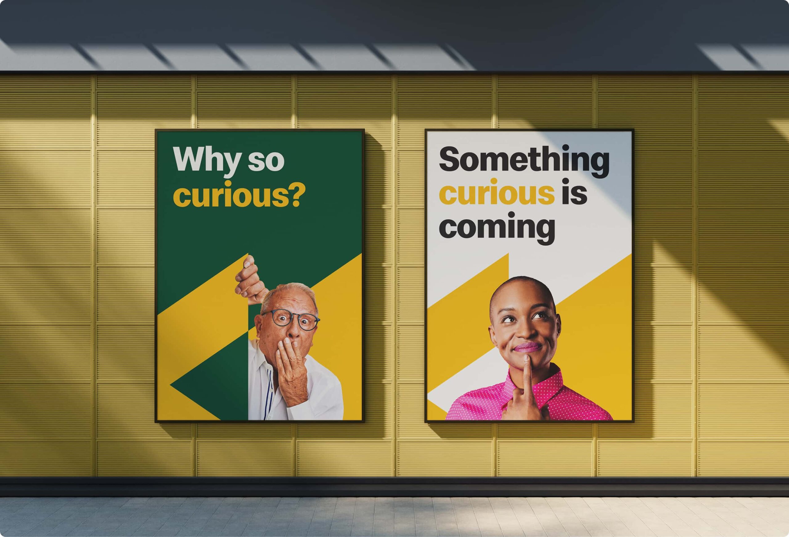curious banner