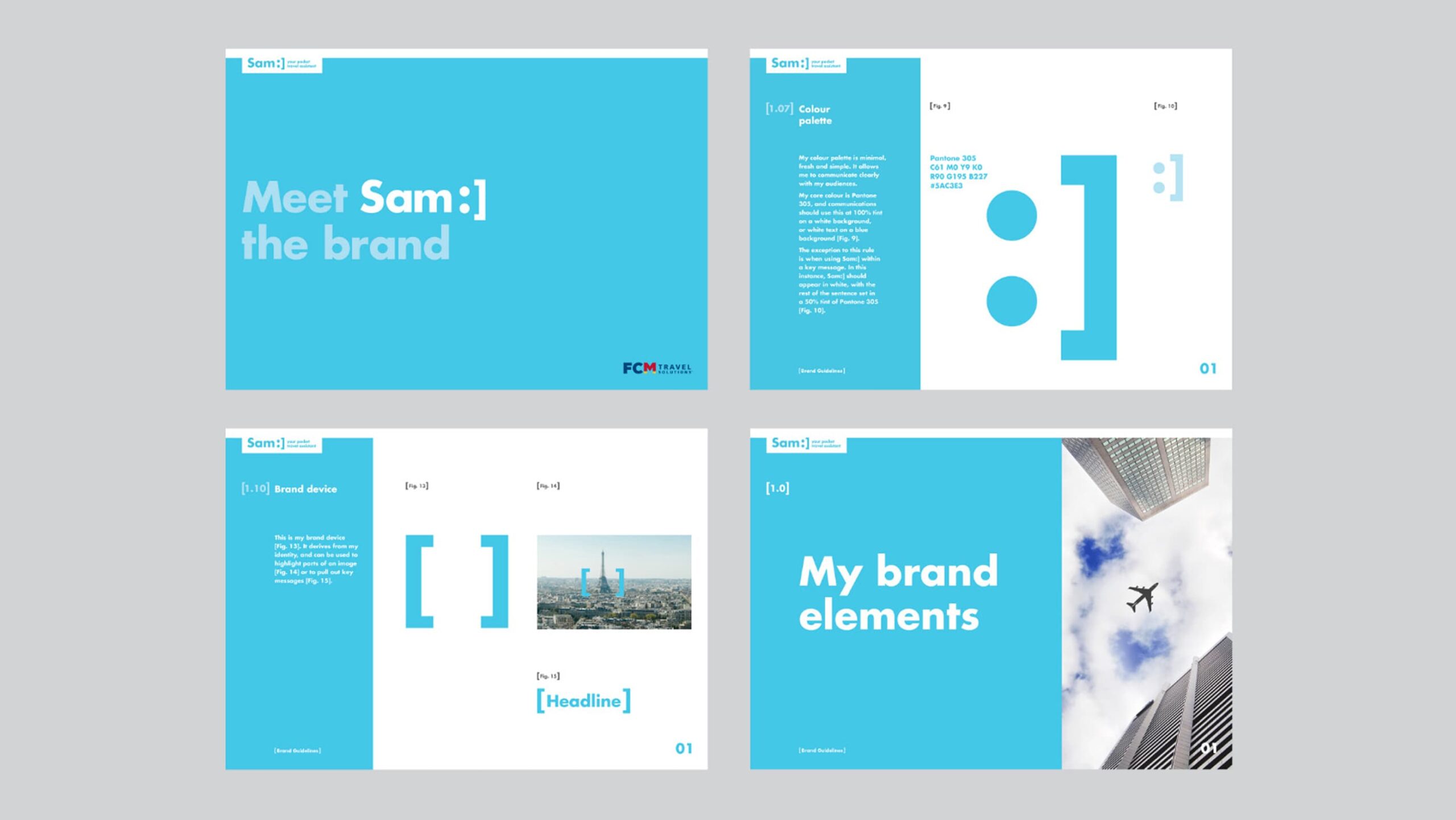 Sam brand guidelines